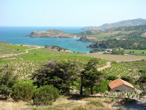 Cru Banyuls