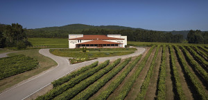 BODEGA TERRAS GAUDA