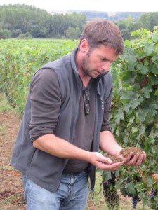 Nicolas Grosbois in de wijngaard