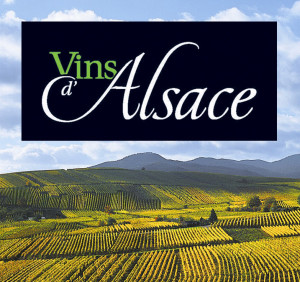 vins d' alsace