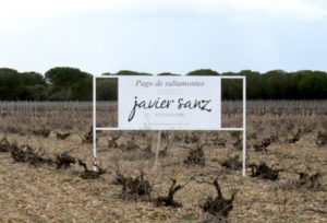 Oude wijngaarden Javier Sanz