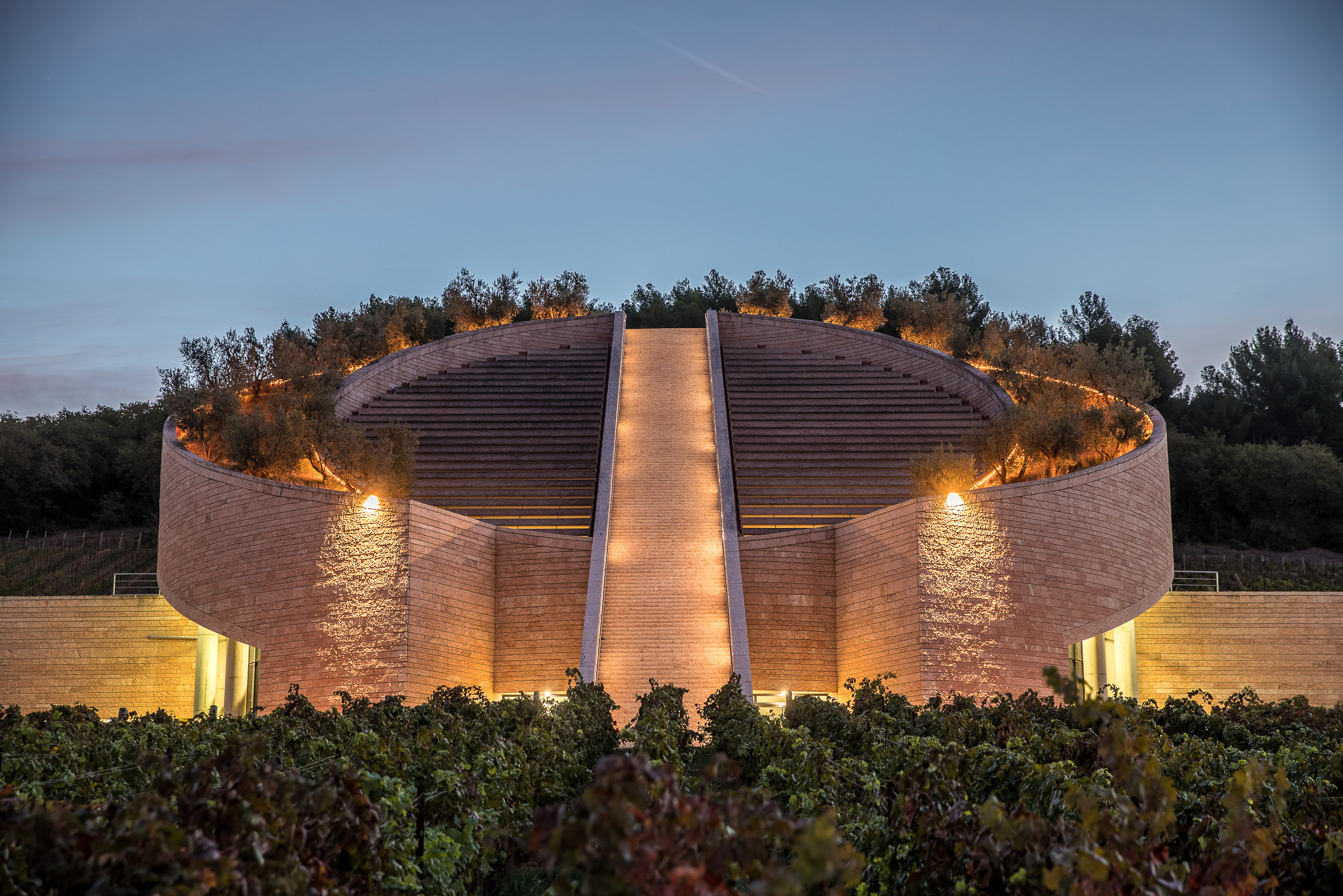 Petra Winery, a natural oasis in Suvereto