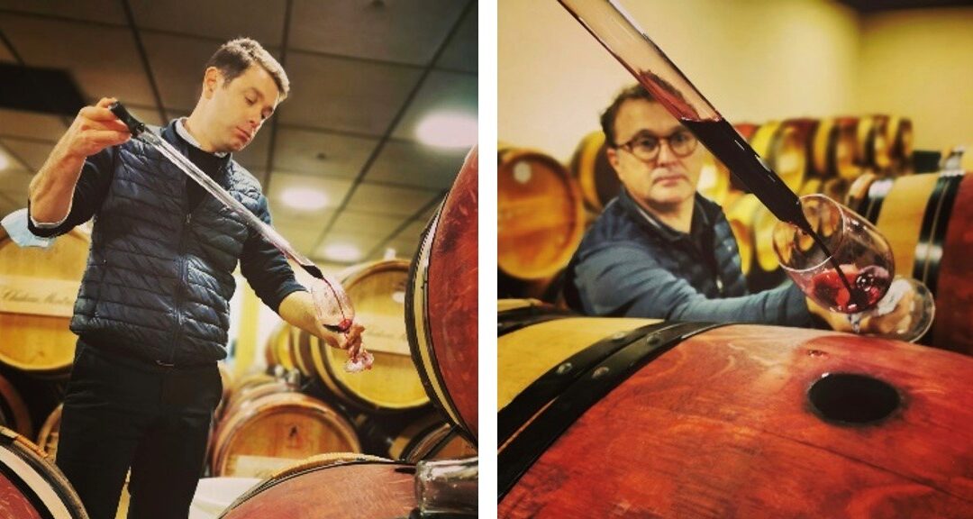 Château Montrose, the press wine of the future…