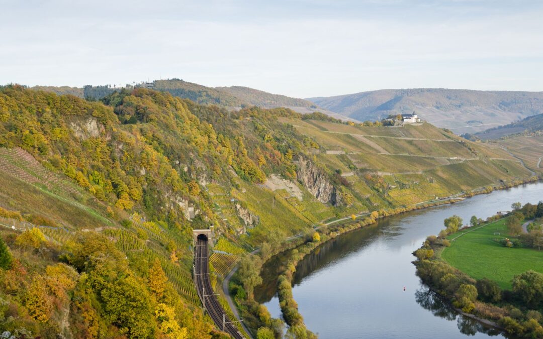 België aanwezig als wijnland op internationaal cool climate wine symposium te Canada