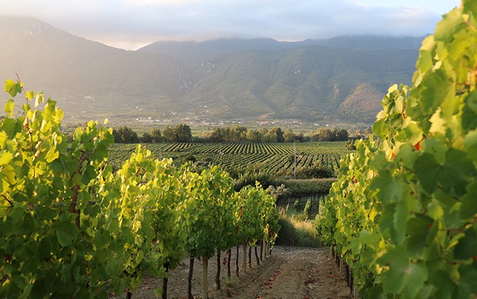 Campania hosts the 2023 Sparkling Wine Session