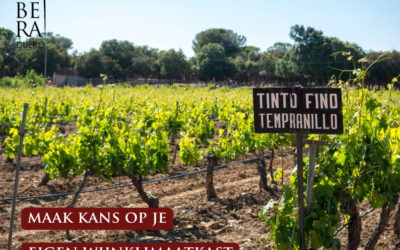 Ontdek de ongeëvenaarde kwaliteit van Ribera del Duero en win een wijnklimaatkast