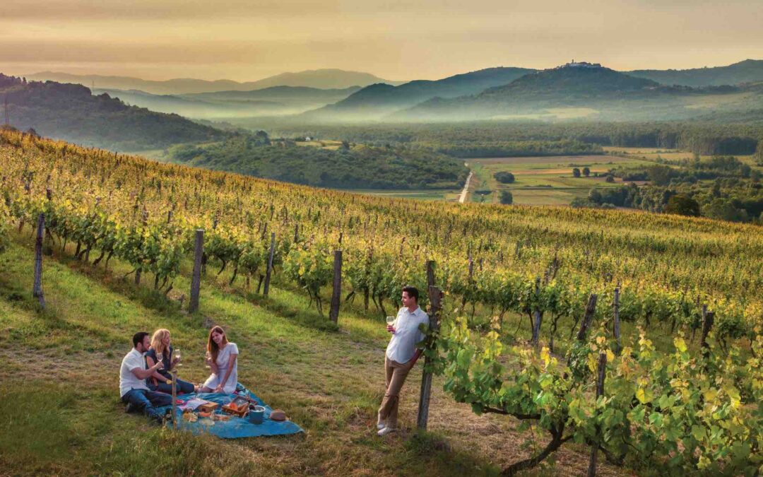 Wine Tourism in Croatia: a Conversation with the Director of the Croatian National Tourist Board