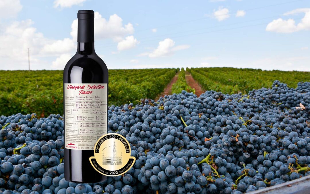 The Bulgarian Vineyards Selection Tenevo 2017 is this year’s International Revelation Red Wine at CMB