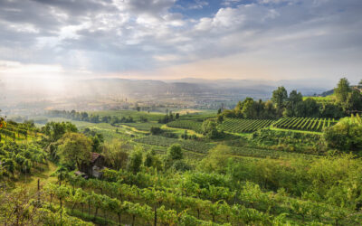 Austria defines the legal basis for an official vineyard classification system