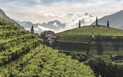 Geniet van Alto Adige wijnen tijdens de Alto Adige Restaurant Weken