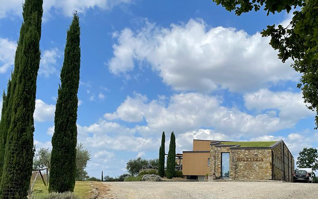 CHIANTI: FIRST HARVEST FOR THE NEW BOTTEGA WINERY
