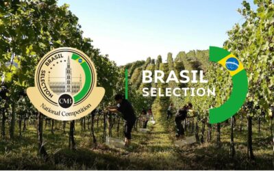 A new national competition in Brazil