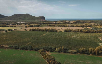 Alghero in Sardinia to host the 2024 CMB Sparkling Wine Session
