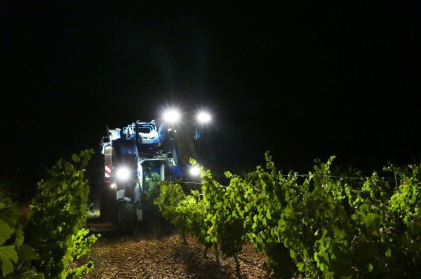 Rueda oogst van 2023