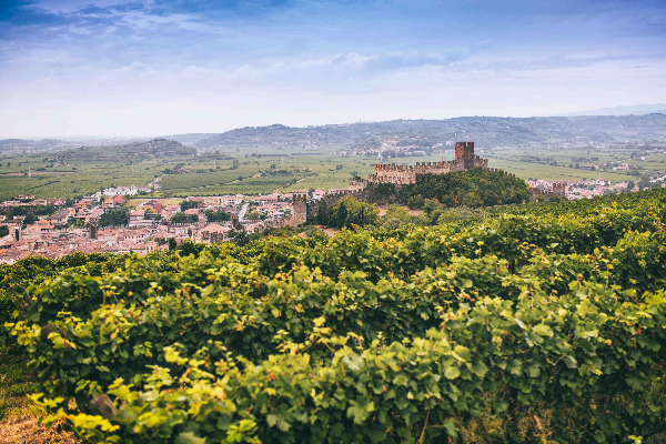 The “Soave Identity Project” is underway to launch onto the markets